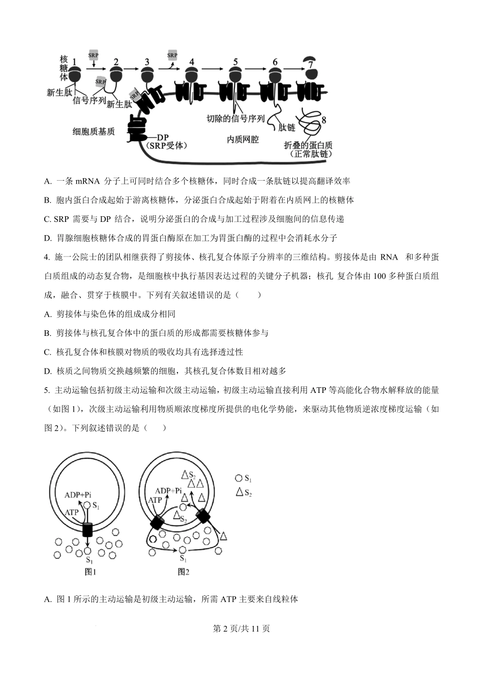 生物试题卷【百强校】【重庆卷】重庆市第八中学校2025-2026学年高三年级上学期入学考试(8.29-8.30).pdf_第2页