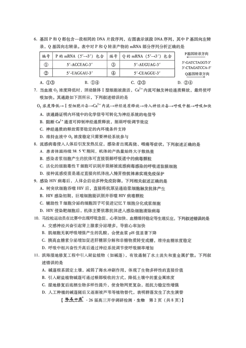 生物试题卷【河北卷】河北省琢名小鱼名校联考(邢台市卓越联盟)2026届高三年级开学调研检测(9.1-9.2).pdf_第2页