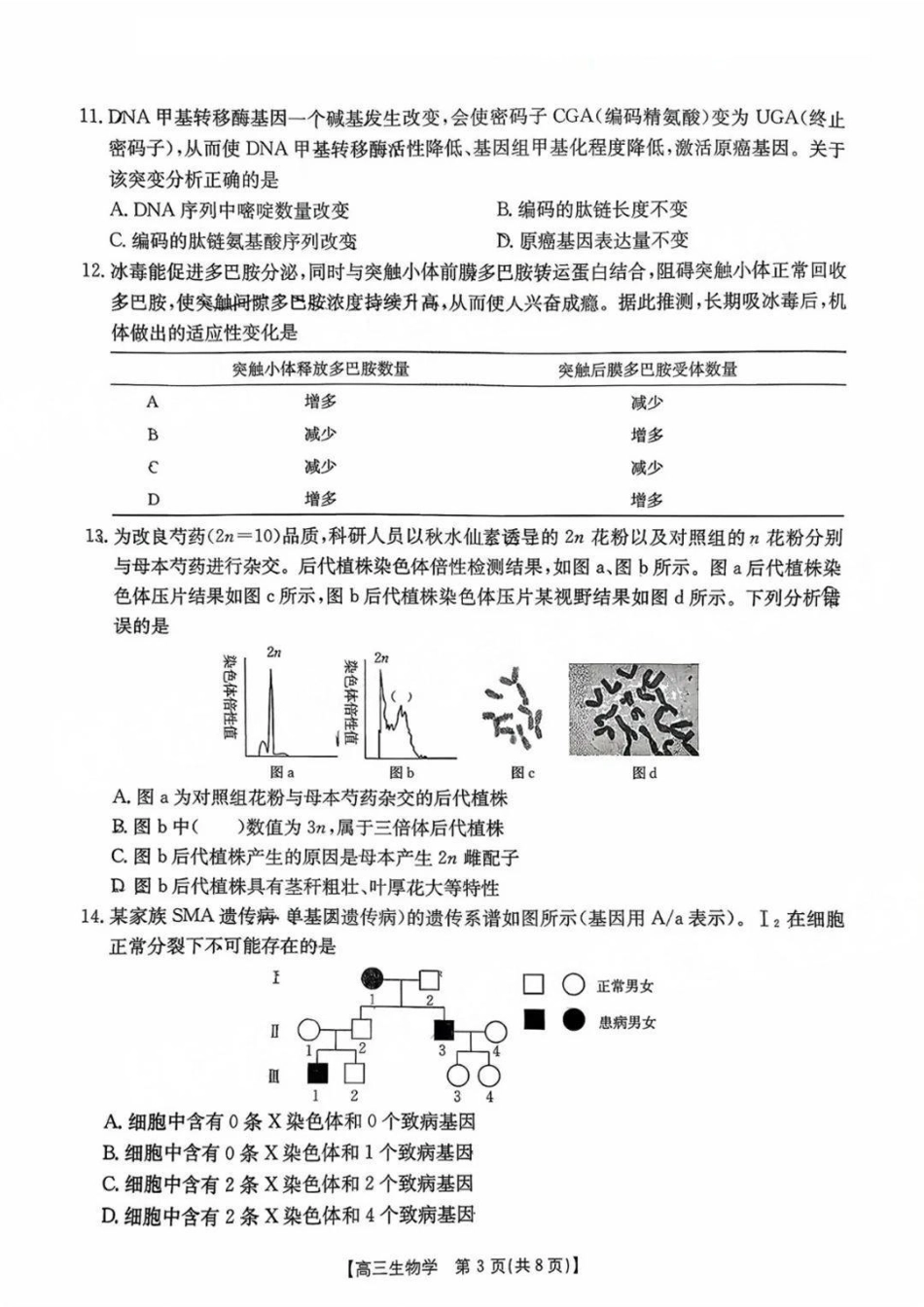 生物试题卷+答案【广东卷】广东省金太阳2026届高三年级8月联考(8.26-8.27).pdf_第3页