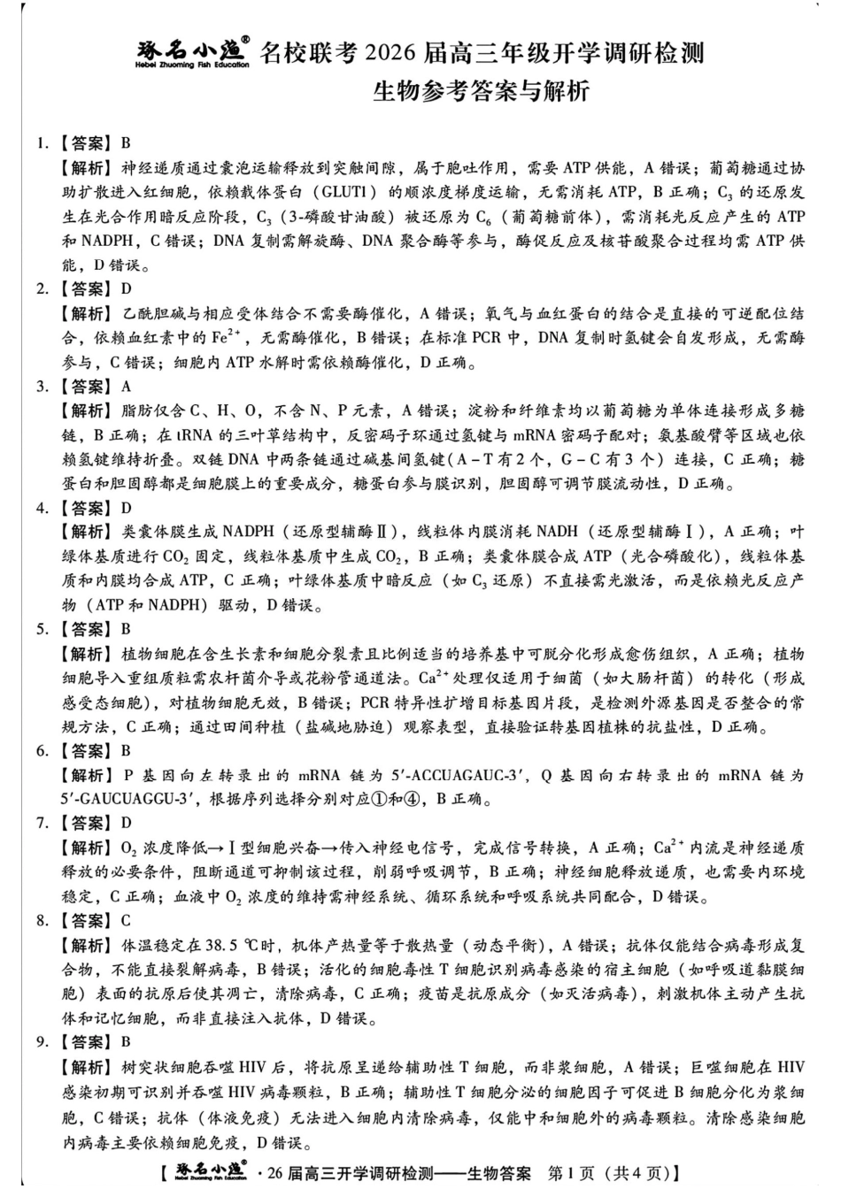 生物试题卷答案【河北卷】河北省琢名小鱼名校联考(邢台市卓越联盟)2026届高三年级开学调研检测(9.1-9.2).pdf_第1页