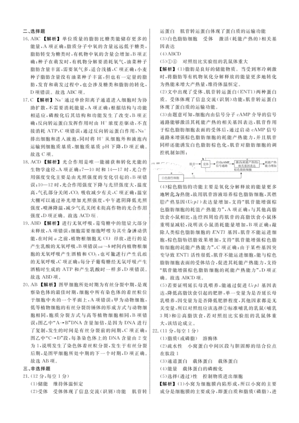 生物试题卷答案【黑吉辽蒙卷】东北三省多校联考暨辽宁省名校联盟2025年高三9月份联合考试(9.1-9.2).pdf_第2页