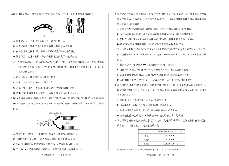 生物学高二秋季检测试卷【河南卷】【高二】河南省天一大联考2025-2026学年（上）高二年级秋季检测（9.25-9.26）.pdf_第2页
