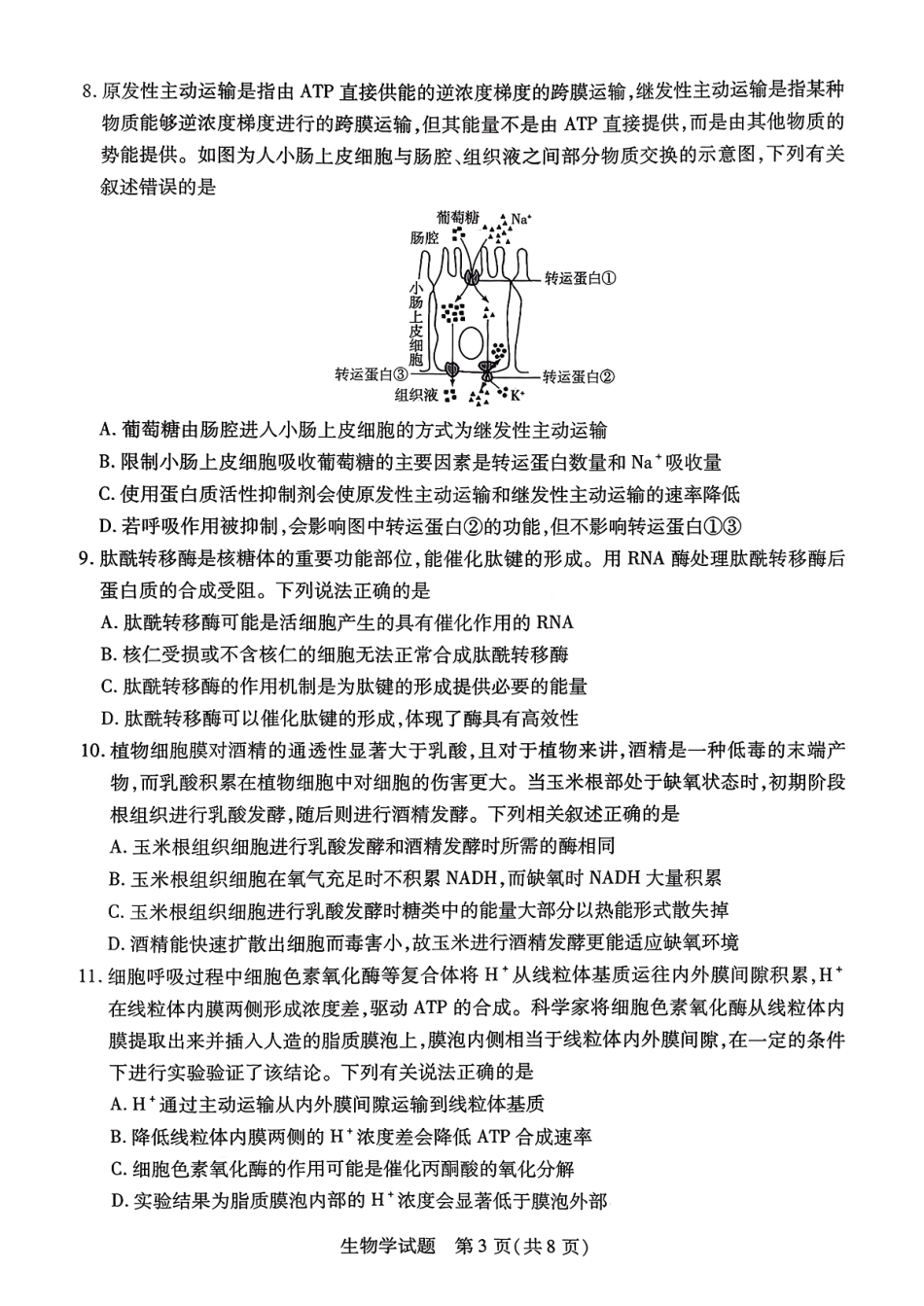 生物学试卷【河南卷】河南省天一大联考2025-2026学年（上）高三年级顶尖计划（一）（9.28-9.29）.pdf_第3页
