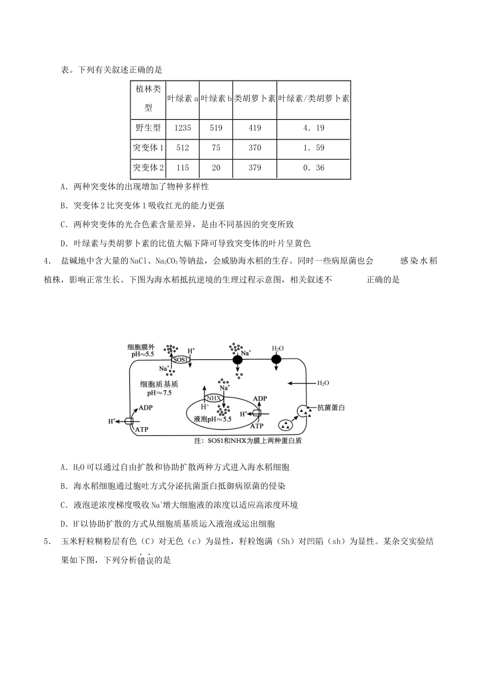 云南省玉溪第一中学2026届高三上学期适应性测试（四）生物含答案.docx_第2页