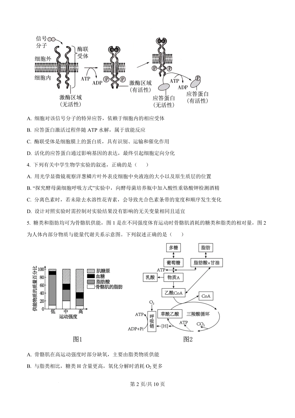 云南省玉溪市红塔区云南省玉溪第一中学2025-2026学年高二上学期开学生物试题（原卷版）.pdf_第2页