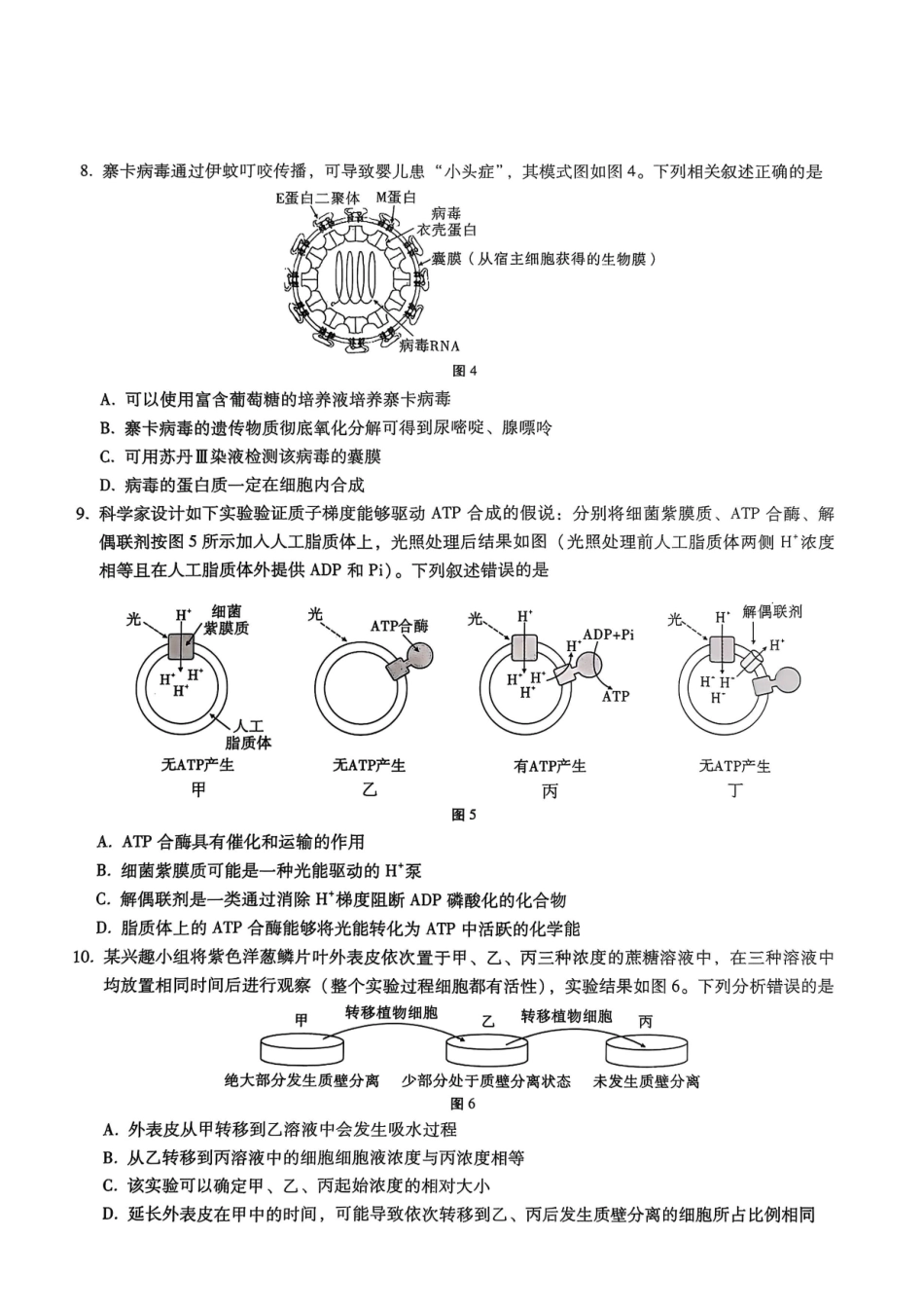 重庆市巴蜀中学2026届高三8月高考适应性月考（一）生物.pdf_第3页