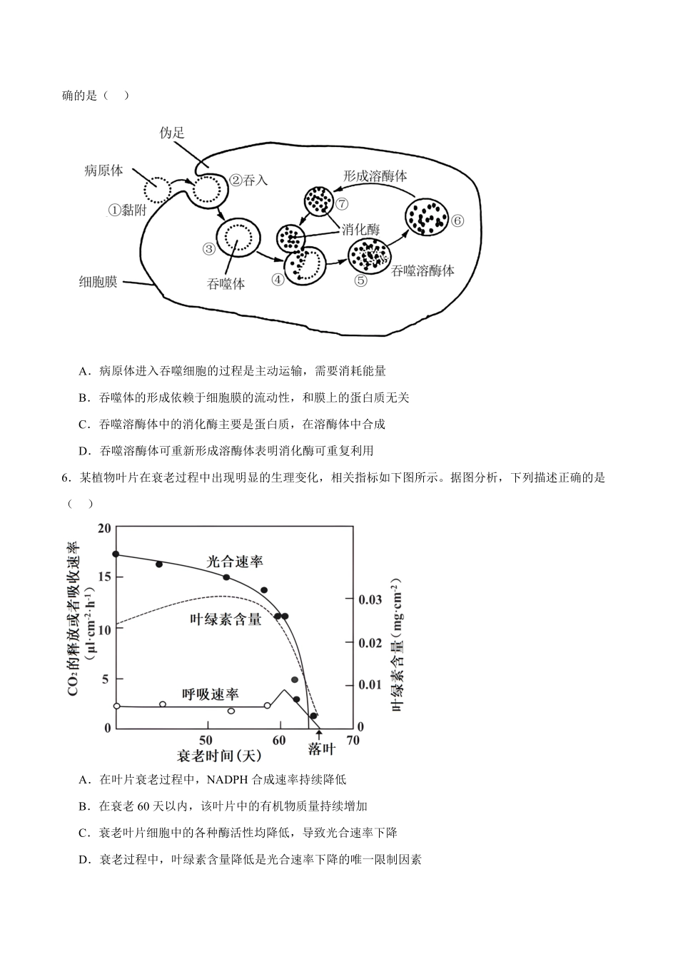 重庆市彭水第一中学校2025-2026学年高二上学期开学检测生物试卷（有答案）.pdf_第2页