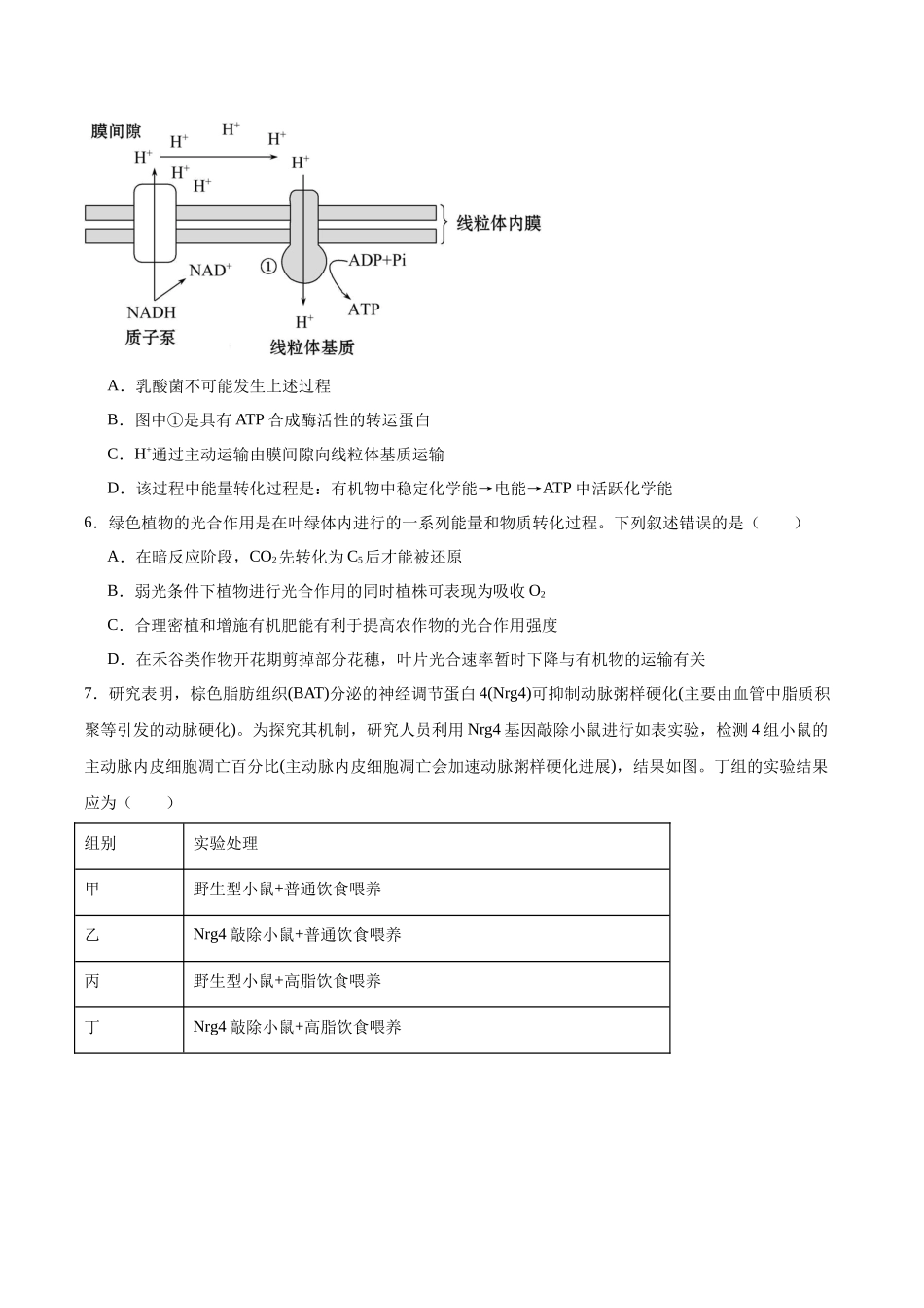 重庆市西北狼教育联盟2025-2026学年高二上学期开学生物试卷（有答案）.docx_第2页