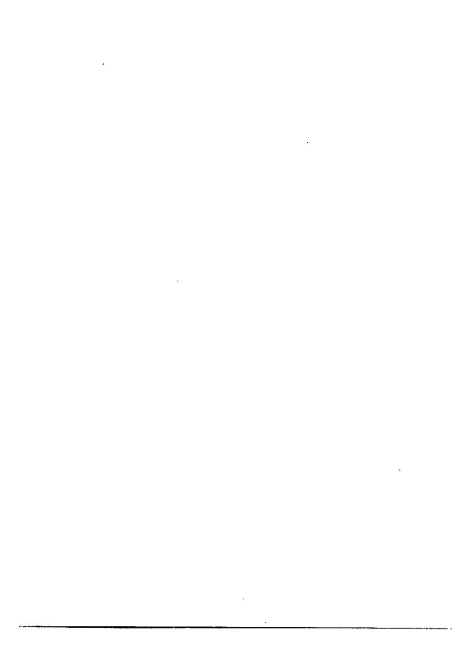 （光绪）荆州府志.pdf_第2页