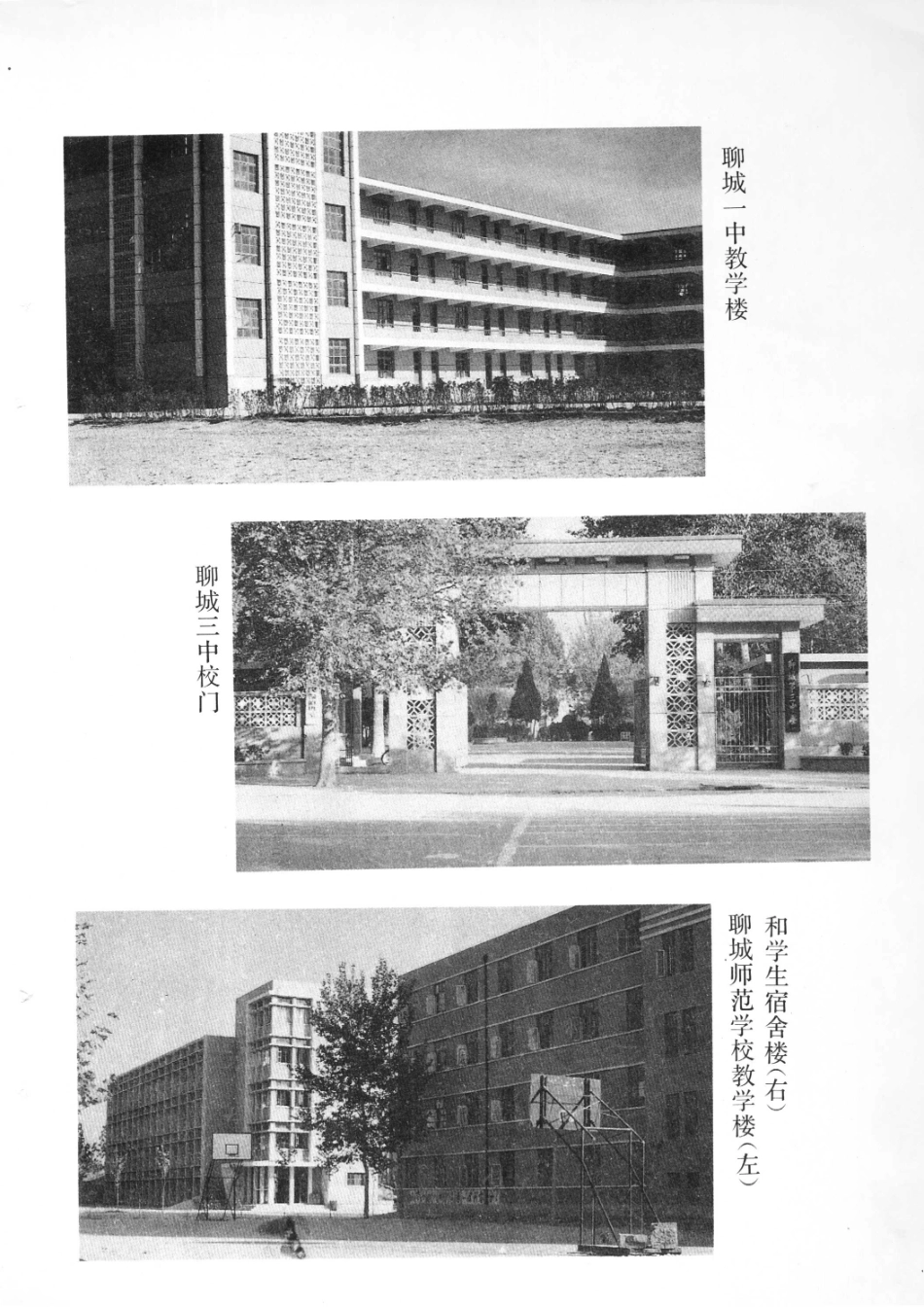 聊城地区教育志.pdf_第3页