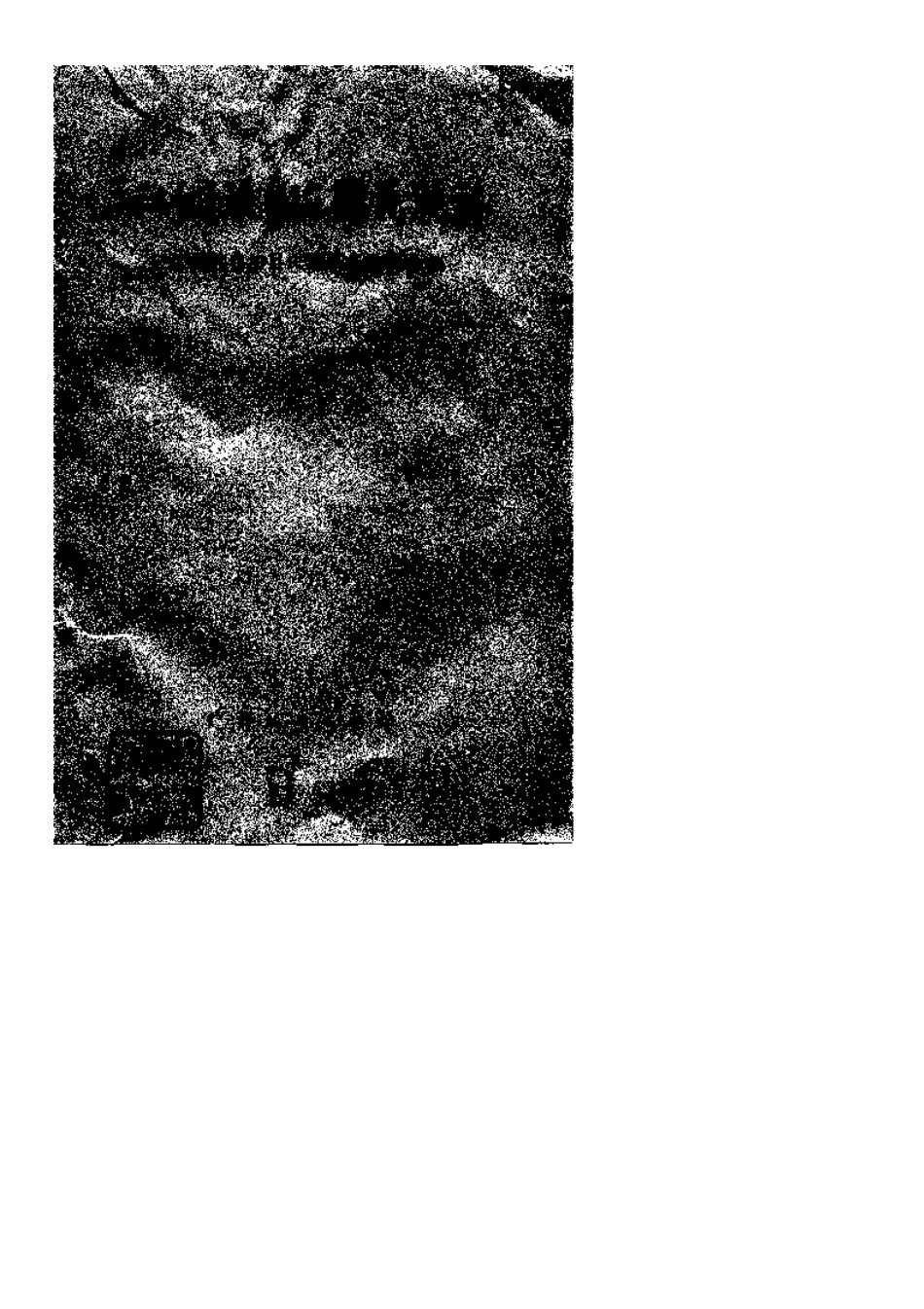 三江侗族自治县民族志 (1).pdf_第1页
