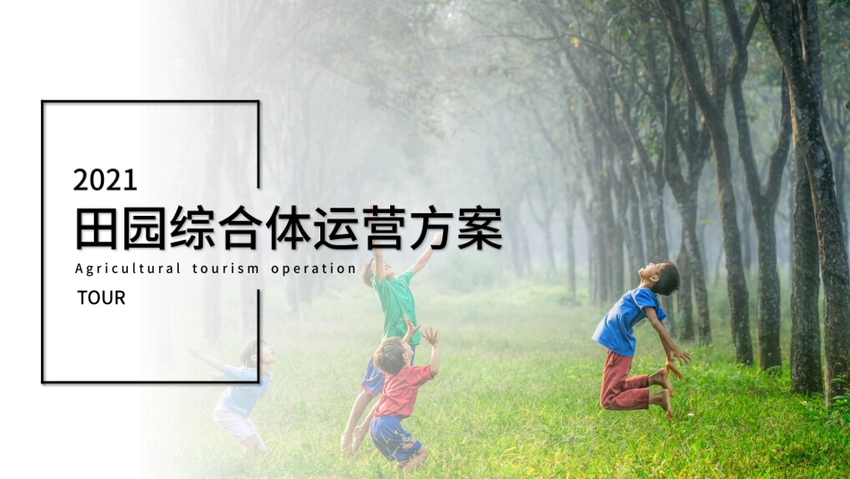 2021田园康养综合体全年定位运营策略方案-56.pdf_第1页
