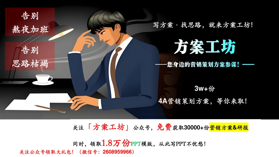 2021田园康养综合体全年定位运营策略方案-56.pdf_第2页