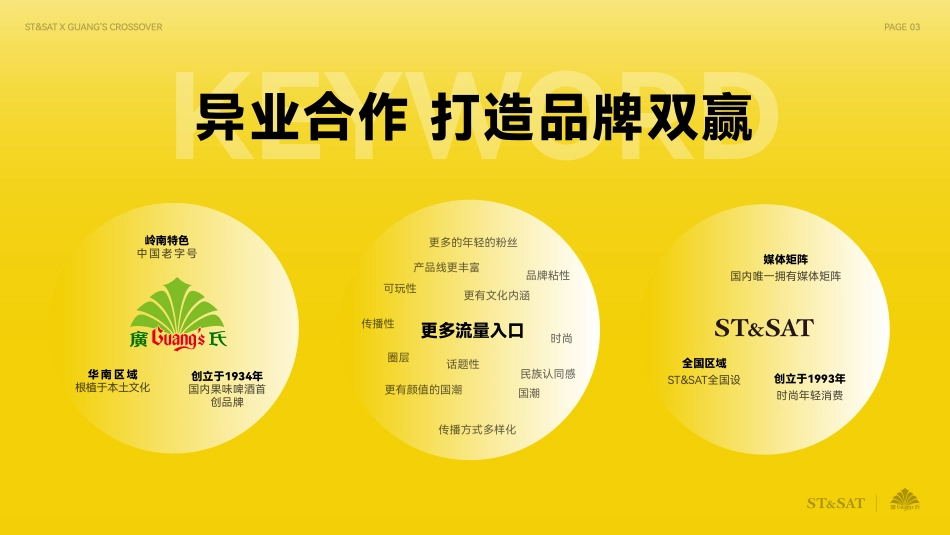2022女鞋品牌某国货啤酒饮料品牌联名跨界合作方案-46.pdf_第3页