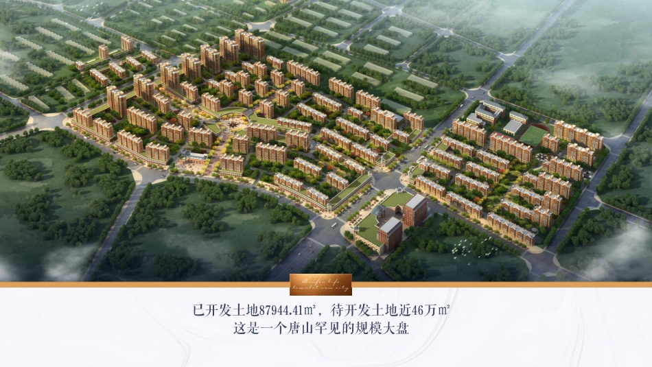 2022荣阳新约克小镇项目全案销售代理营销竞标方案-135.pdf_第2页