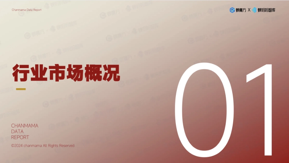 2024抖音第一美妆护肤品牌韩束拆解.pdf_第3页