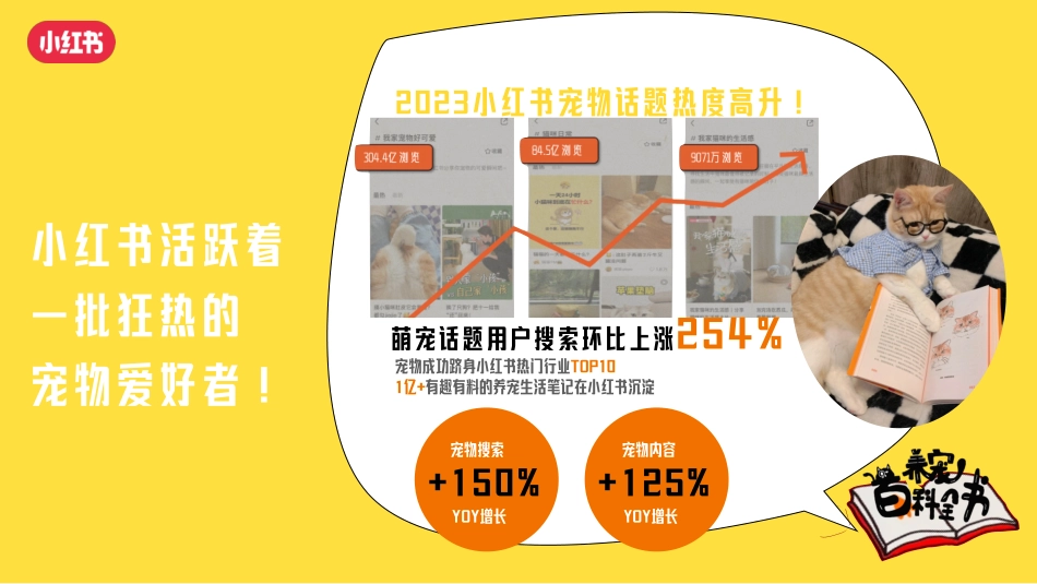 2024年小红书养宠百科全书通案.pdf_第3页