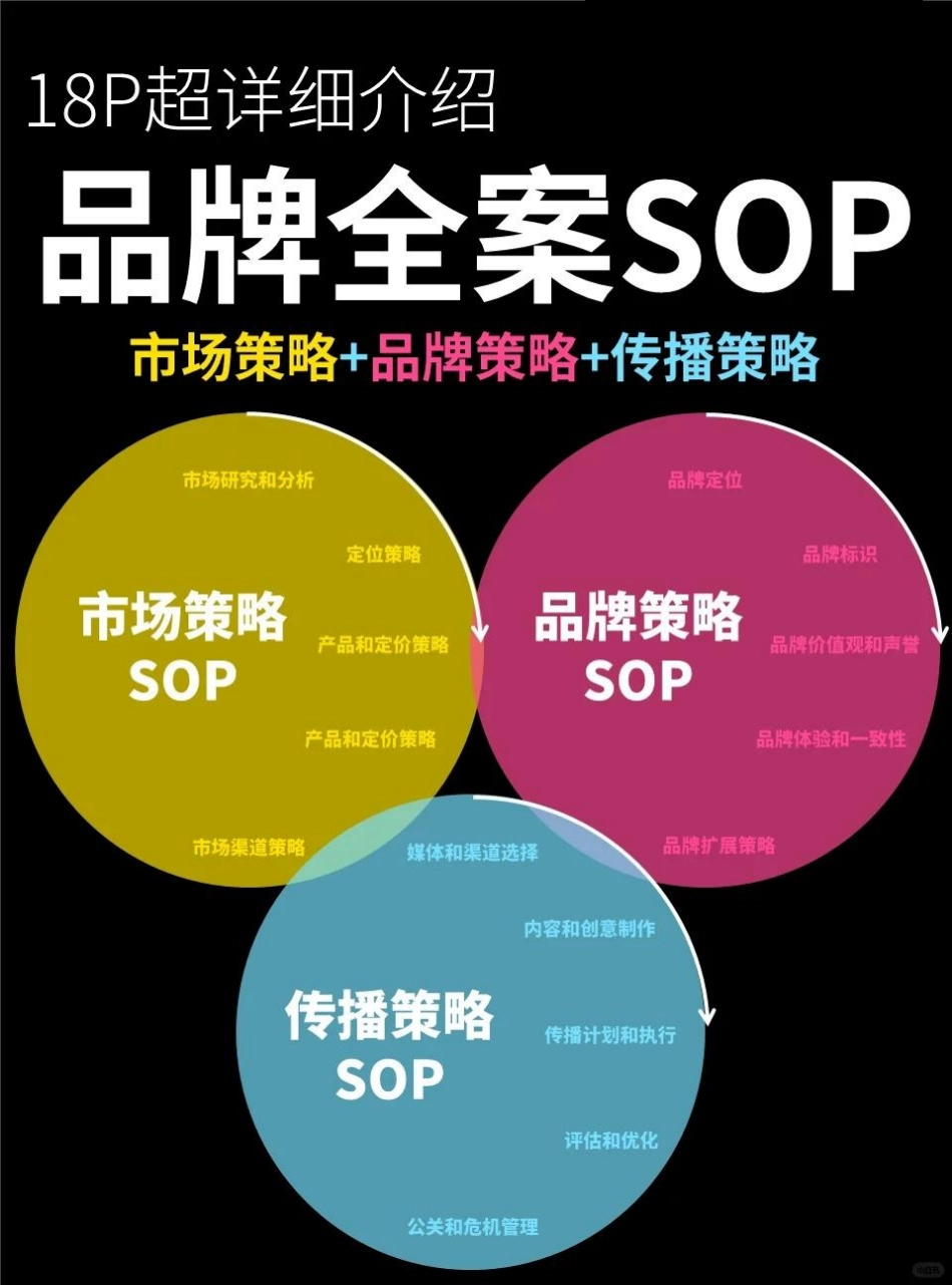 2024品牌全案策略SOP.pdf_第1页
