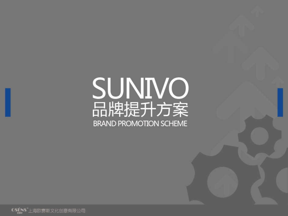 Sunivo品牌战略规划手册.pdf_第1页