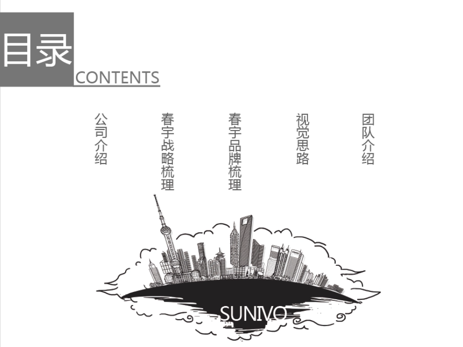 Sunivo品牌战略规划手册.pdf_第2页