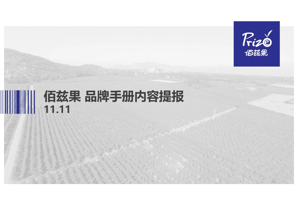 佰兹果水果品牌手册内容提报-35.pdf_第1页