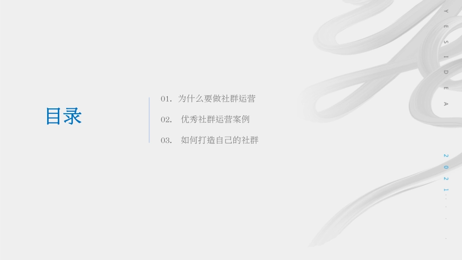 国际新城社群运营方案【地产】.pdf_第2页