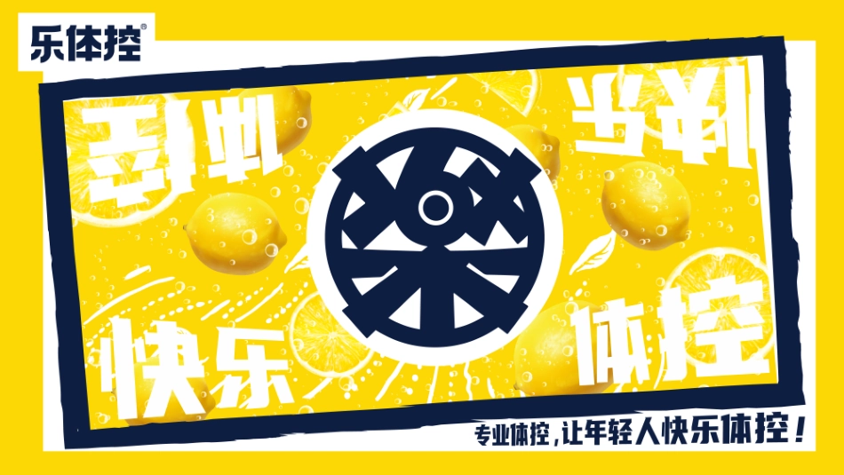 乐体控-体控产品全案brief-25.pdf_第1页
