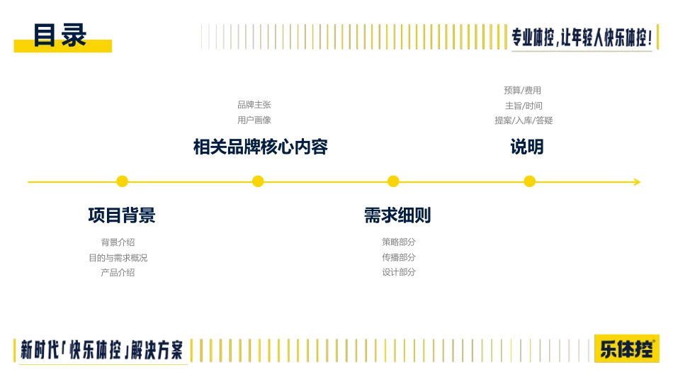 乐体控-体控产品全案brief-25.pdf_第2页