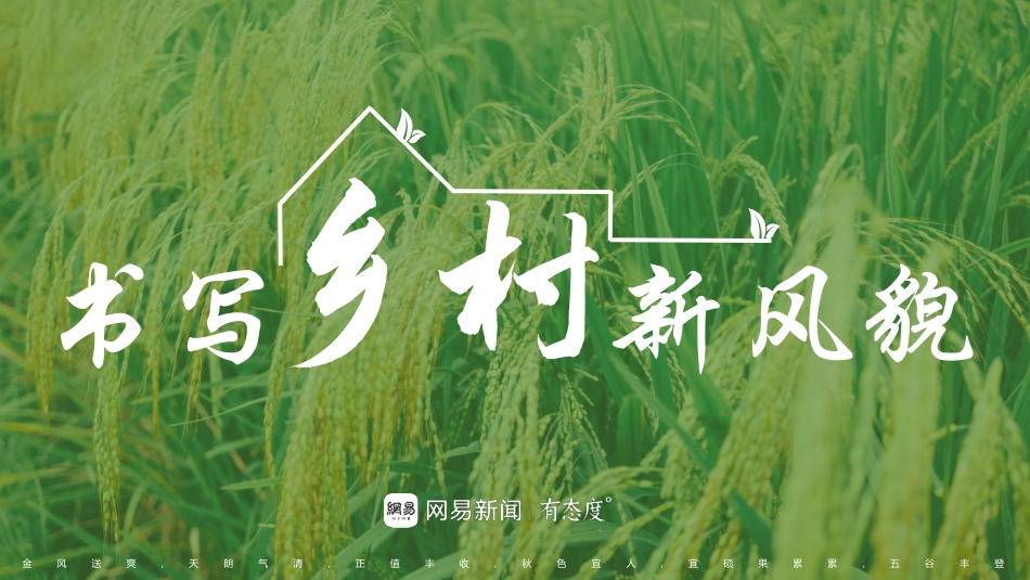 书写乡村新风貌乡村振兴策划方向-26.pdf_第1页