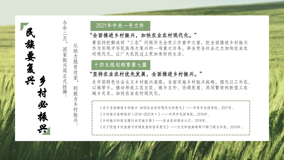 书写乡村新风貌乡村振兴策划方向-26.pdf_第2页