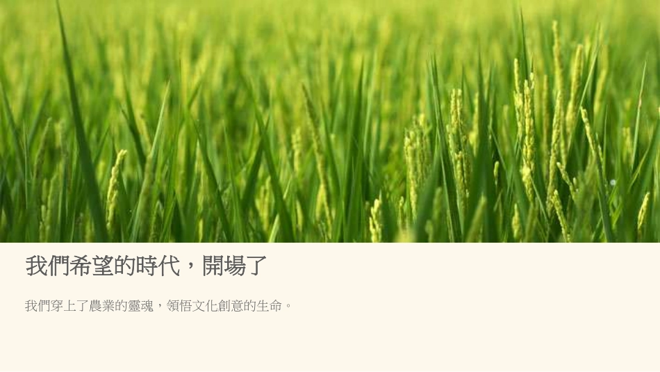 台湾农业文创食品案例-掌声谷粒-137.pdf_第3页
