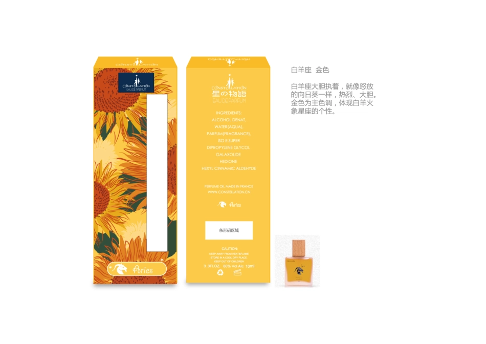 星座随身装设计KSTL.pdf_第2页