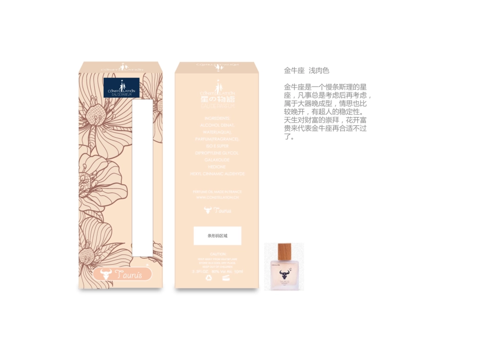 星座随身装设计KSTL.pdf_第3页