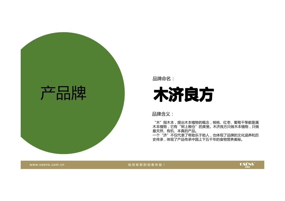 焱烨品牌定位策划.pdf_第3页