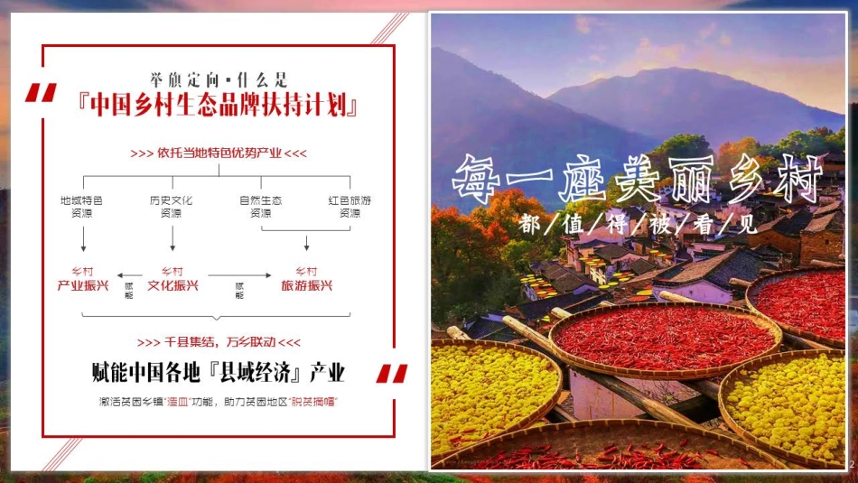 中国乡村生态品牌扶持计划 江西上饶项目框架-40.pdf_第2页