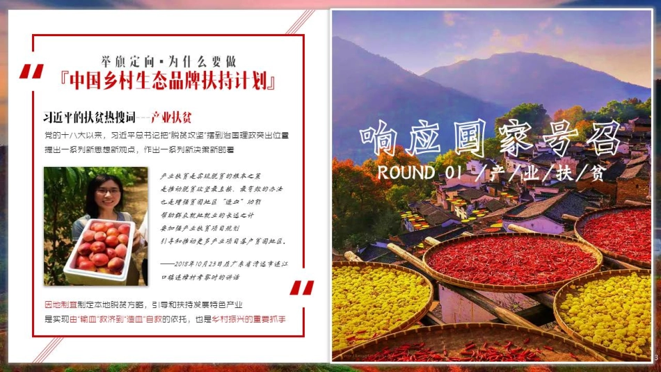 中国乡村生态品牌扶持计划 江西上饶项目框架-40.pdf_第3页