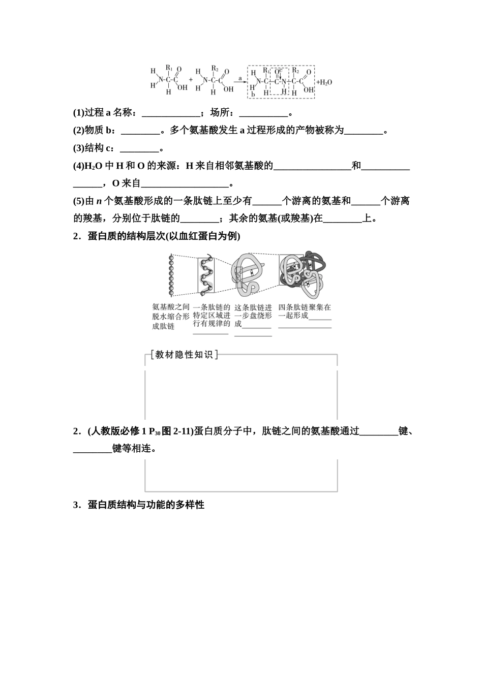 2026版《课堂新坐标》高三生物学一轮复习不定项版03必修1第一单元第3讲蛋白质和核酸(1).docx_第2页