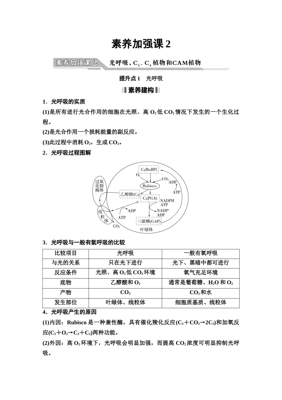 2026版《课堂新坐标》高三生物学一轮复习不定项版17必修1第二单元素养加强课2光呼吸，C3、C4植物和CAM植物(1).docx_第1页