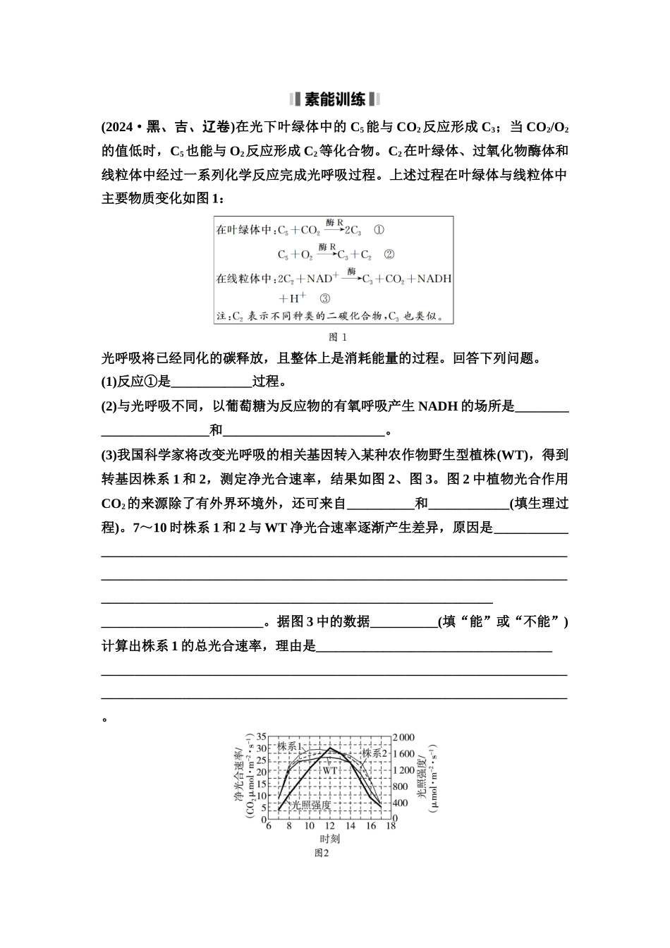 2026版《课堂新坐标》高三生物学一轮复习不定项版17必修1第二单元素养加强课2光呼吸，C3、C4植物和CAM植物(1).docx_第2页