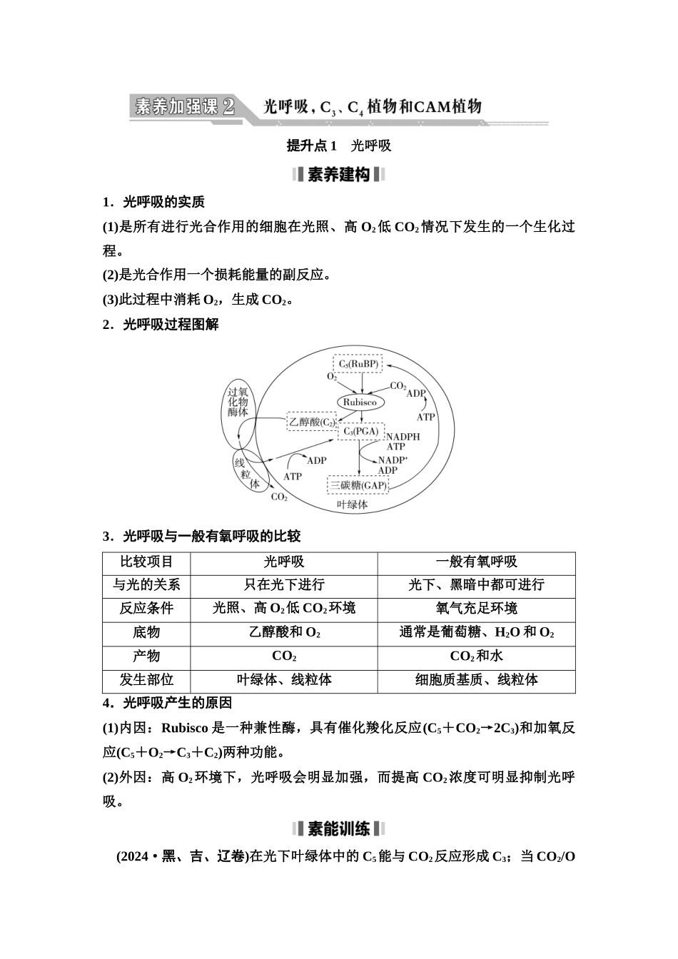 2026版《课堂新坐标》高三生物学一轮复习不定项版17必修1第二单元素养加强课2光呼吸，C3、C4植物和CAM植物.docx_第1页