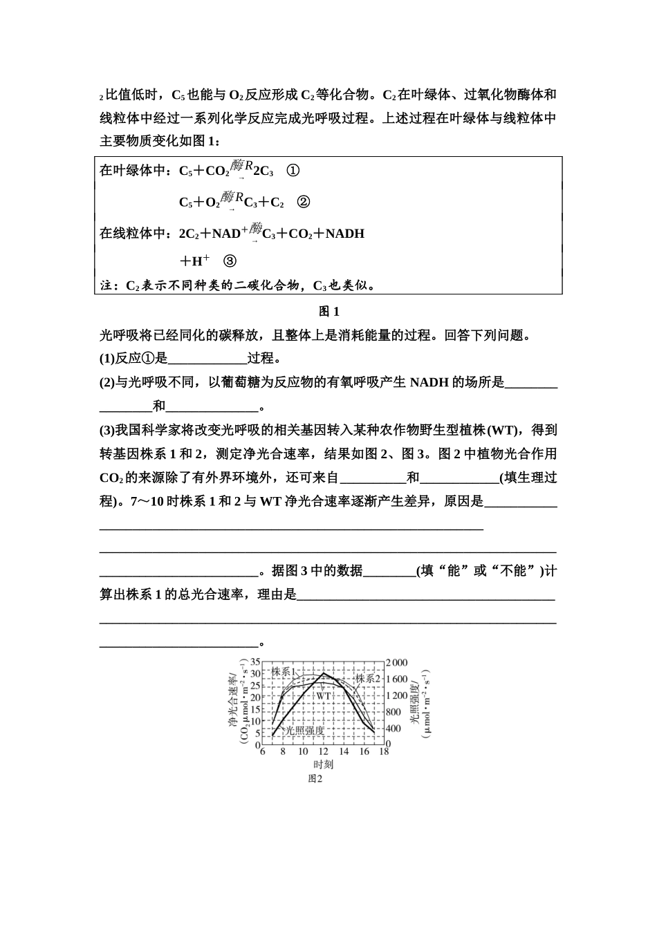 2026版《课堂新坐标》高三生物学一轮复习不定项版17必修1第二单元素养加强课2光呼吸，C3、C4植物和CAM植物.docx_第2页