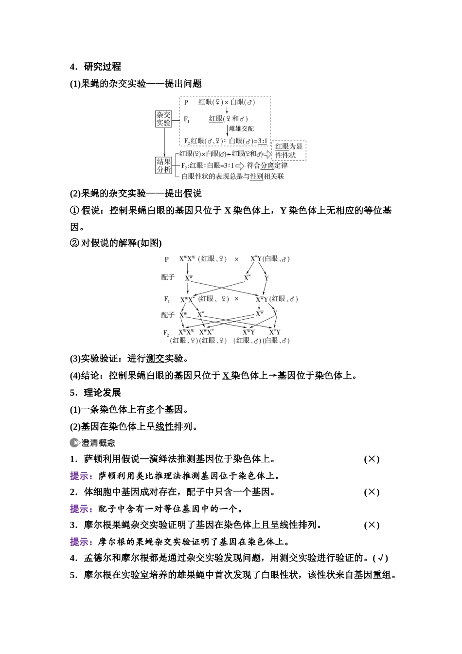 2026版《课堂新坐标》高三生物学一轮复习不定项版31必修2第四单元第23讲基因在染色体上和伴性遗传(1).docx_第2页