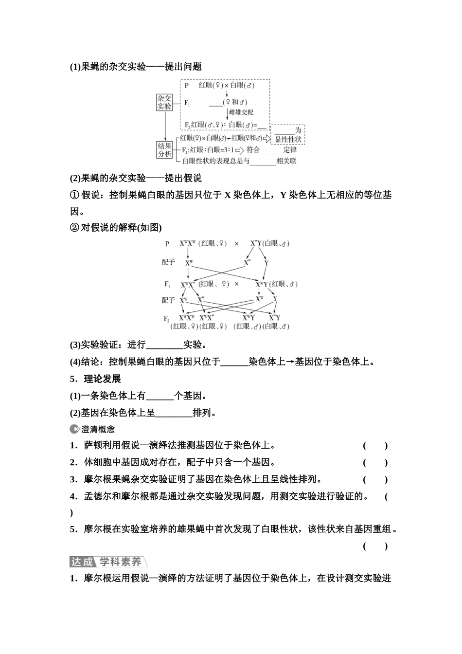 2026版《课堂新坐标》高三生物学一轮复习不定项版31必修2第四单元第23讲基因在染色体上和伴性遗传.docx_第2页