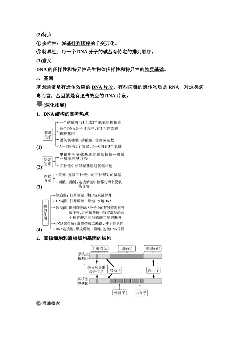 2026版《课堂新坐标》高三生物学一轮复习不定项版36必修2第五单元第26讲DNA的结构、复制和基因的本质.docx_第3页