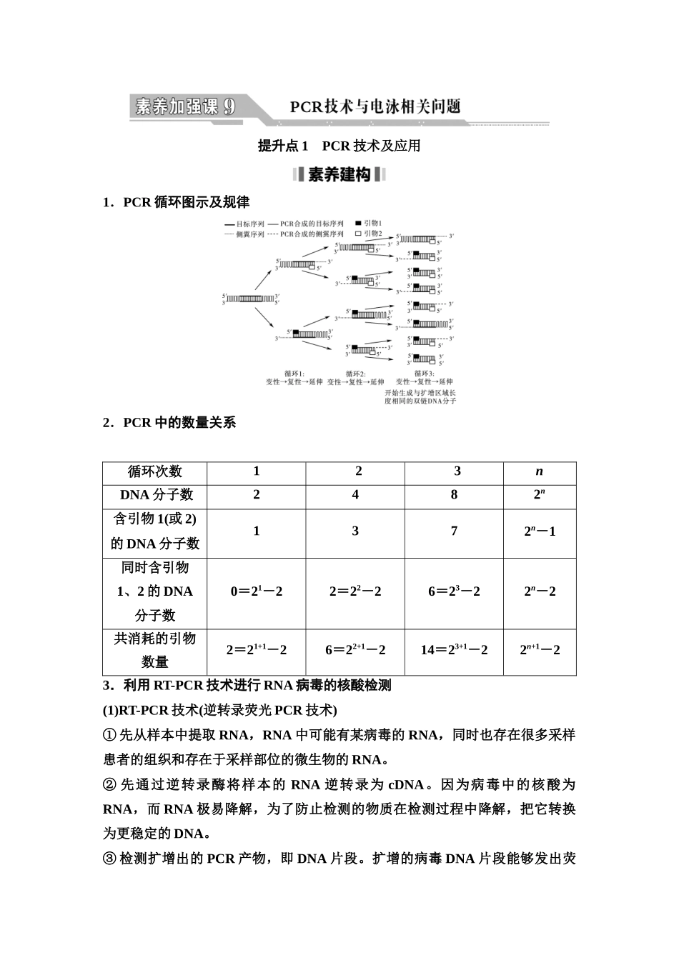 2026版《课堂新坐标》高三生物学一轮复习不定项版80选择性必修3第九单元素养加强课9PCR技术与电泳相关问题(1).docx_第1页