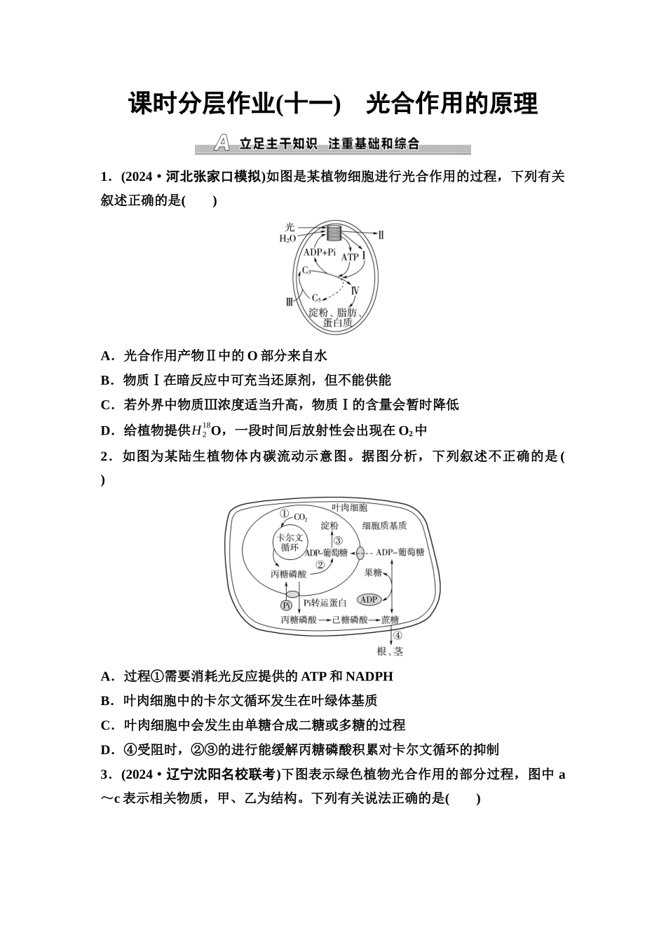 2026版《课堂新坐标》高三生物学一轮复习不定项版课时分层作业11光合作用的原理.docx_第1页