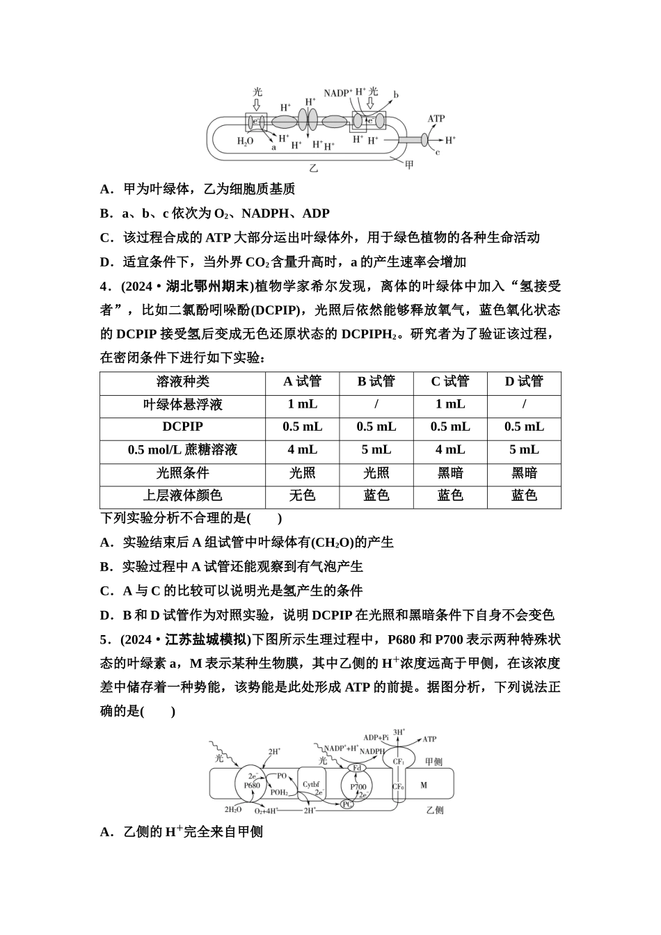 2026版《课堂新坐标》高三生物学一轮复习不定项版课时分层作业11光合作用的原理.docx_第2页