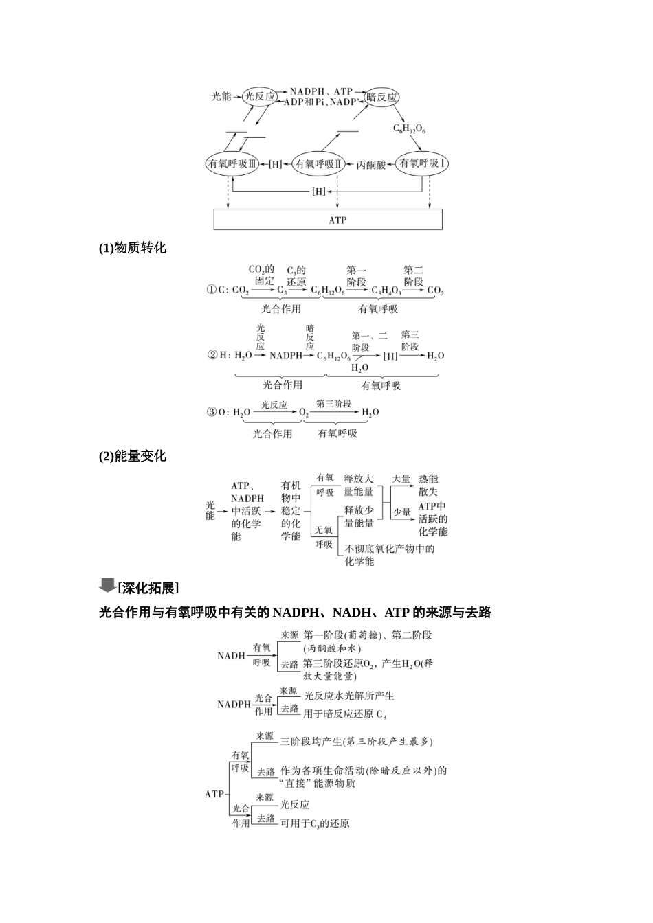2026版《课堂新坐标》高三生物学一轮复习单选版16必修1第二单元第13讲光合作用和细胞呼吸的综合(1).docx_第2页