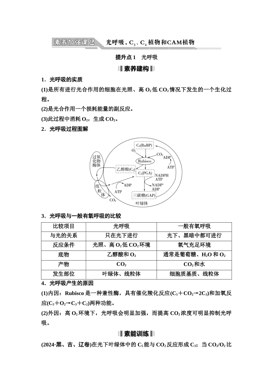 2026版《课堂新坐标》高三生物学一轮复习单选版17必修1第二单元素养加强课2光呼吸，C3、C4植物和CAM植物(1).docx_第1页