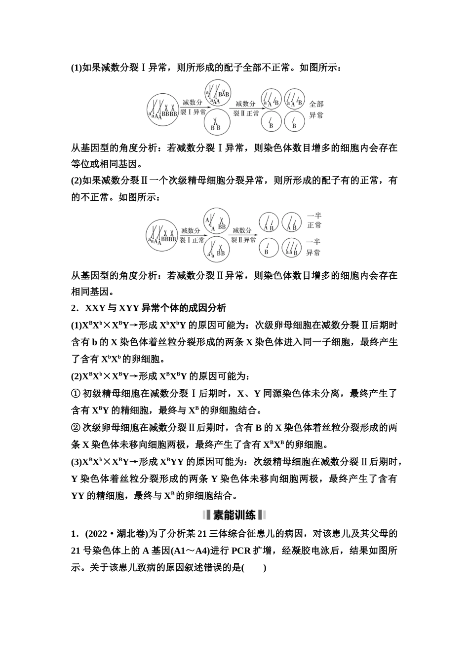 2026版《课堂新坐标》高三生物学一轮复习单选版21必修1第三单元素养加强课3细胞分裂与可遗传变异.docx_第3页